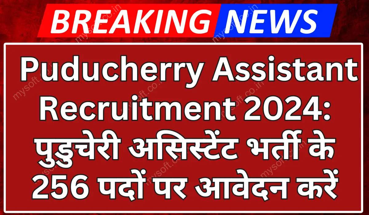 Puducherry Assistant Recruitment 2024 Apply Online For 100 Assistant Vacancy