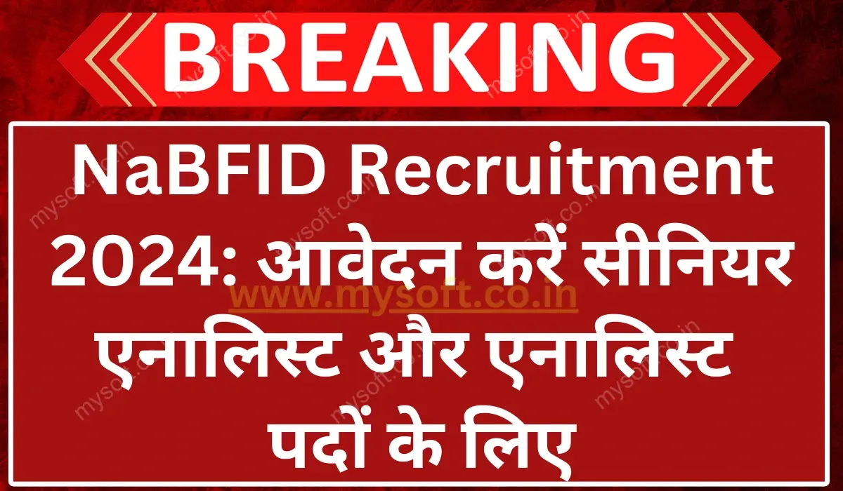 NaBFID Recruitment 2024 apply Online-1